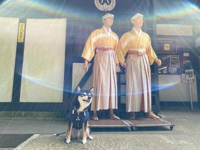 観光スポット
