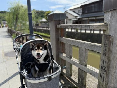 観光スポット