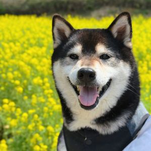 琥大朗ギャラリー おでかけフォト
