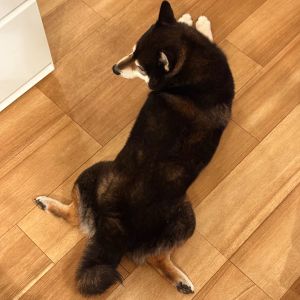 自宅フォト