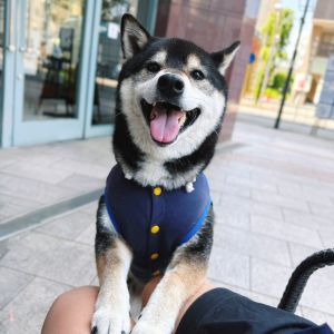 琥大朗ギャラリー おでかけフォト