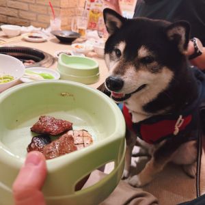 おでかけフォト