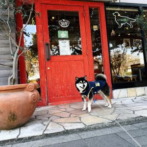 おでかけフォト