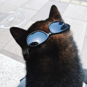 おでかけフォト