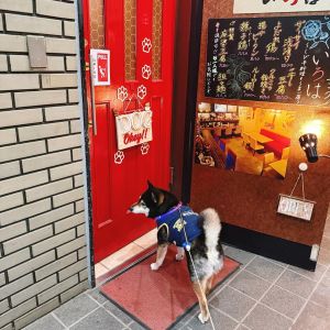 おでかけフォト