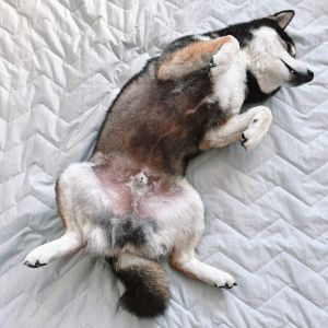 自宅フォト