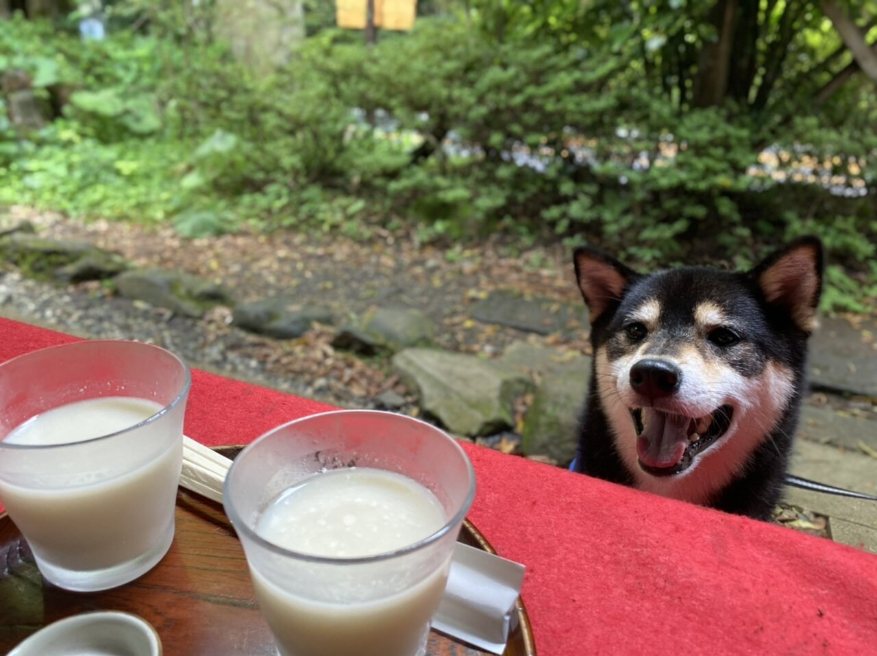 箱根　甘酒茶屋