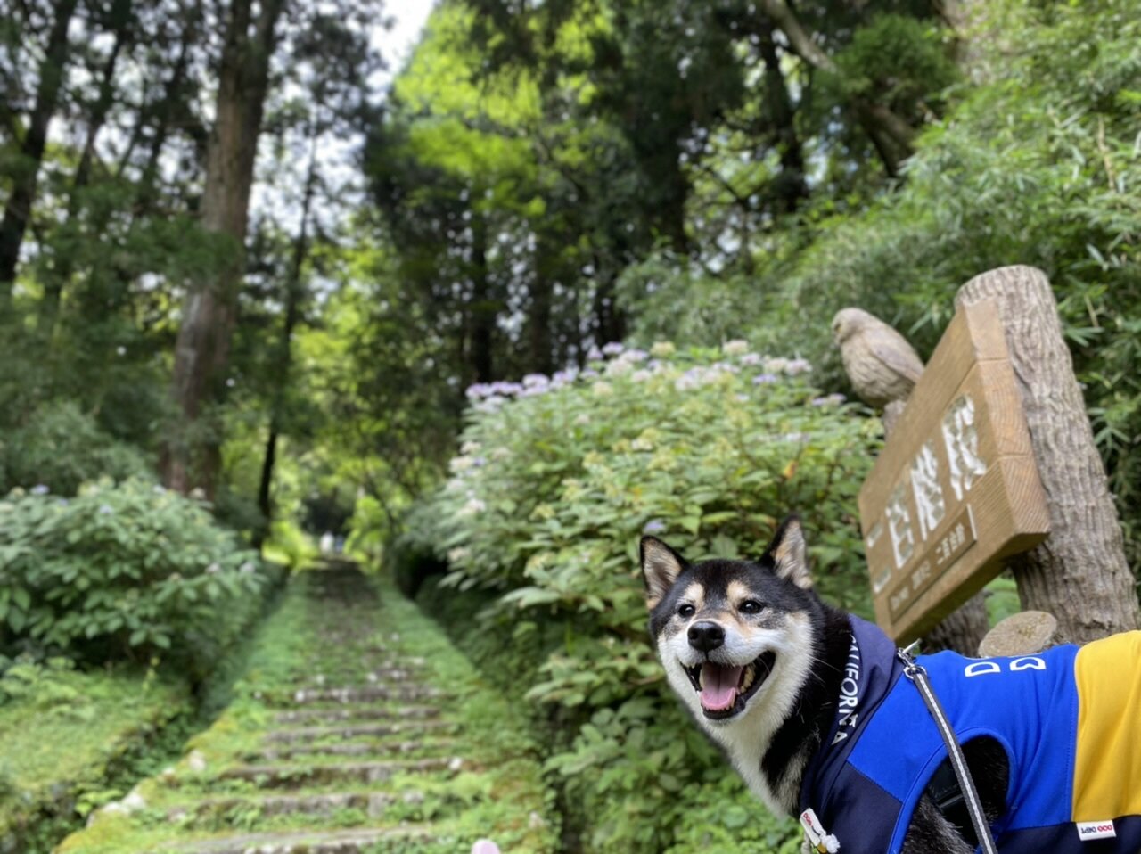 恩賜箱根公園