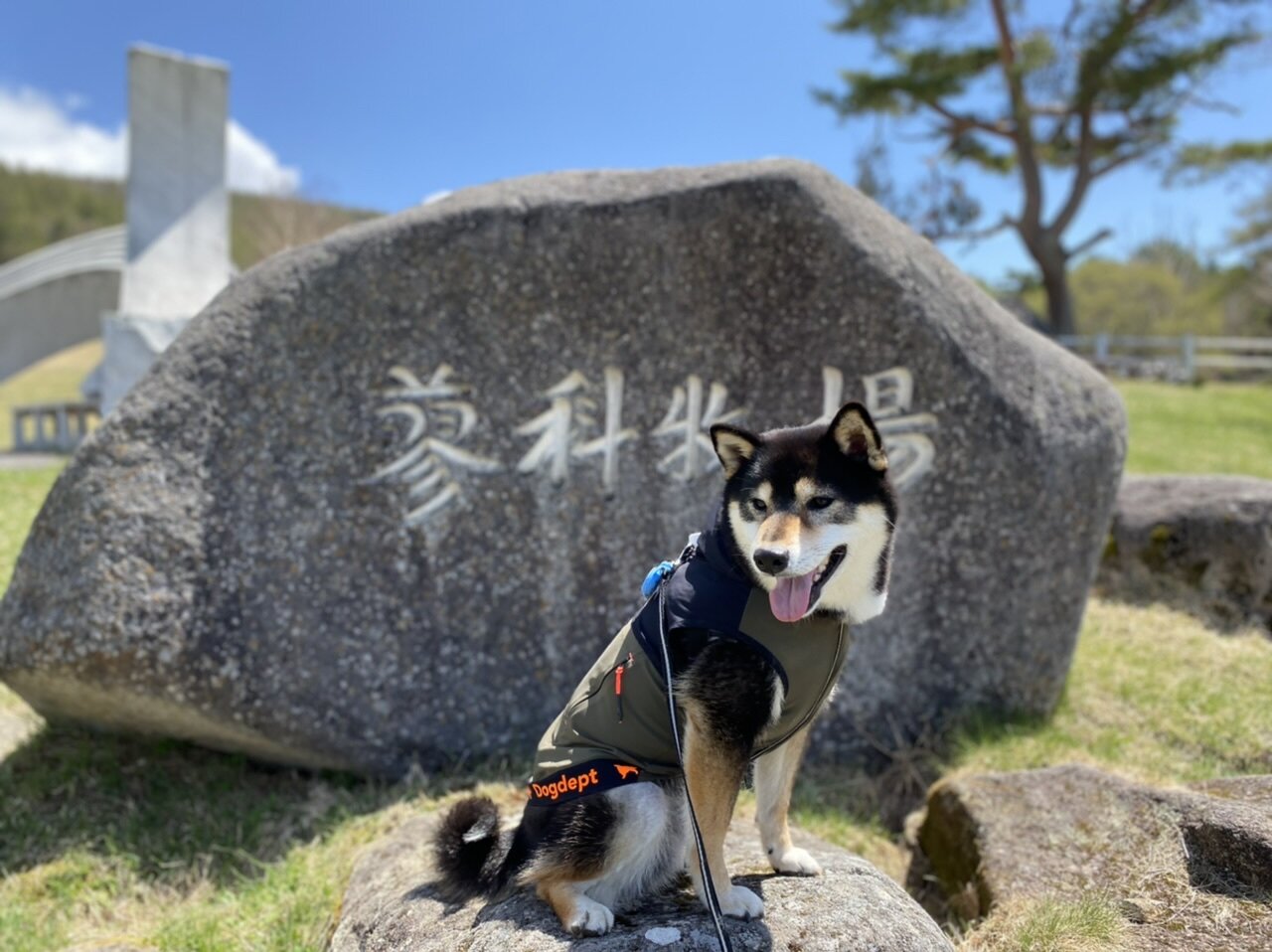 蓼科牧場