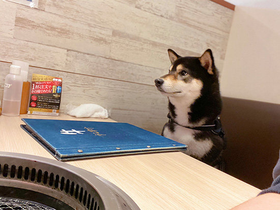 焼肉のオーダー待ち