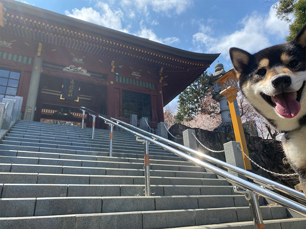 琥大朗 武蔵御嶽神社の階段