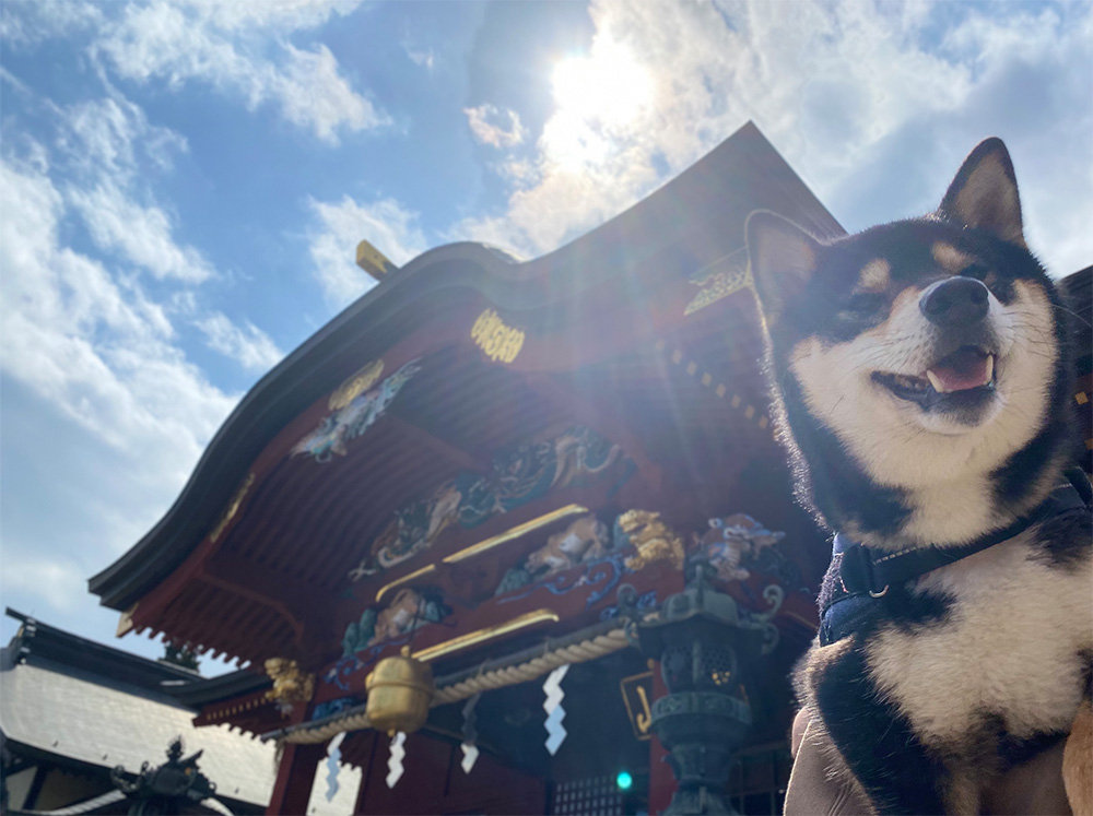 琥大朗 武蔵御嶽神社の階段