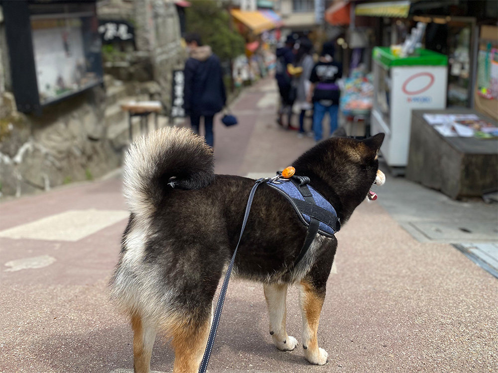 琥大朗 御岳山お店