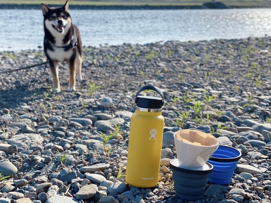 柴犬琥大朗とドリップコーヒー