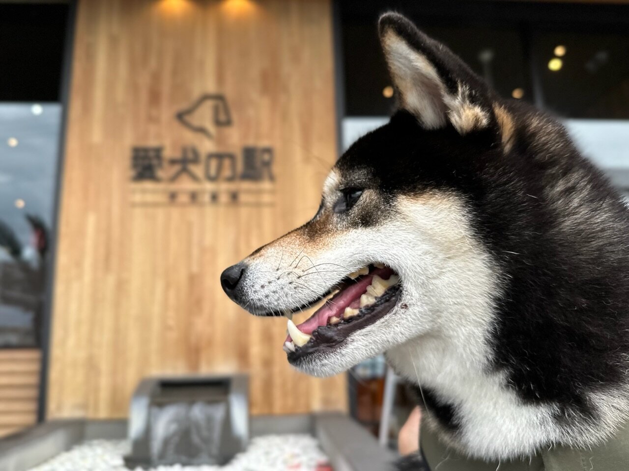 愛犬の駅 伊豆高原