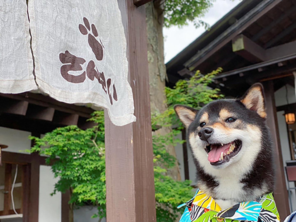 3歳の誕生日 日帰りドライブ in 山中湖 Vol.3(ほうとうのお店「さんさい」さん) イメージ