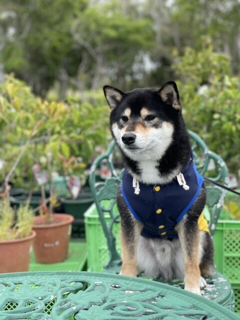 道の駅 ローズマリー公園