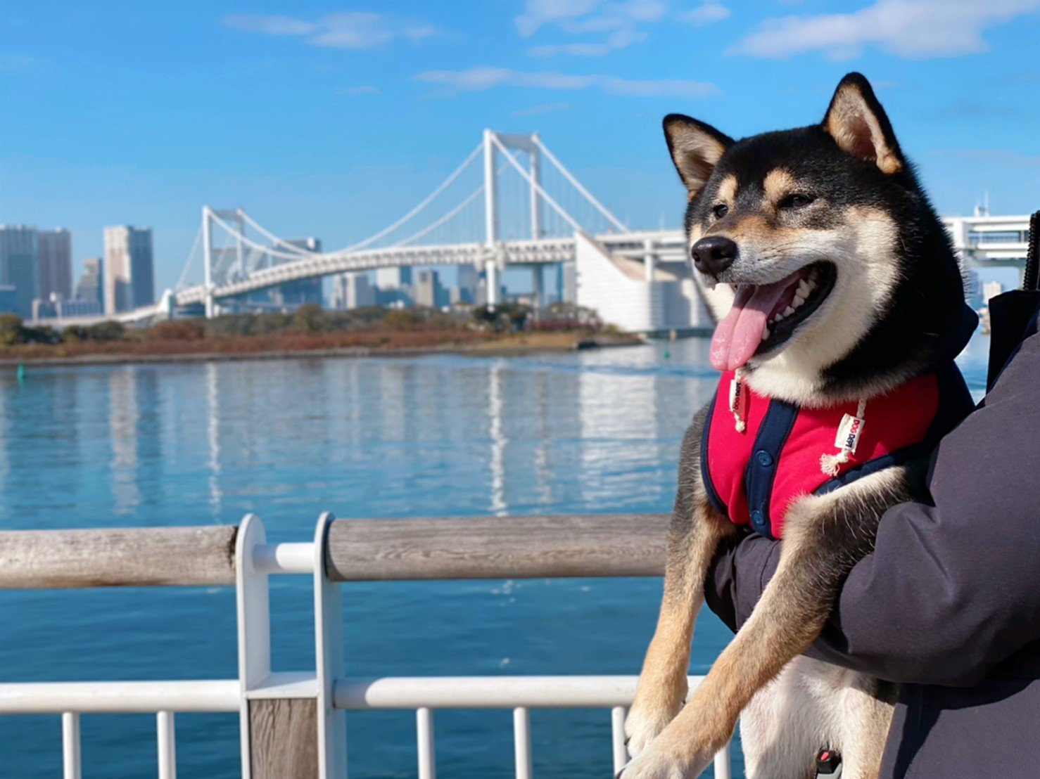 【東京都台場】お台場海浜公園からレインボーブリッジとフジテレビ イメージ