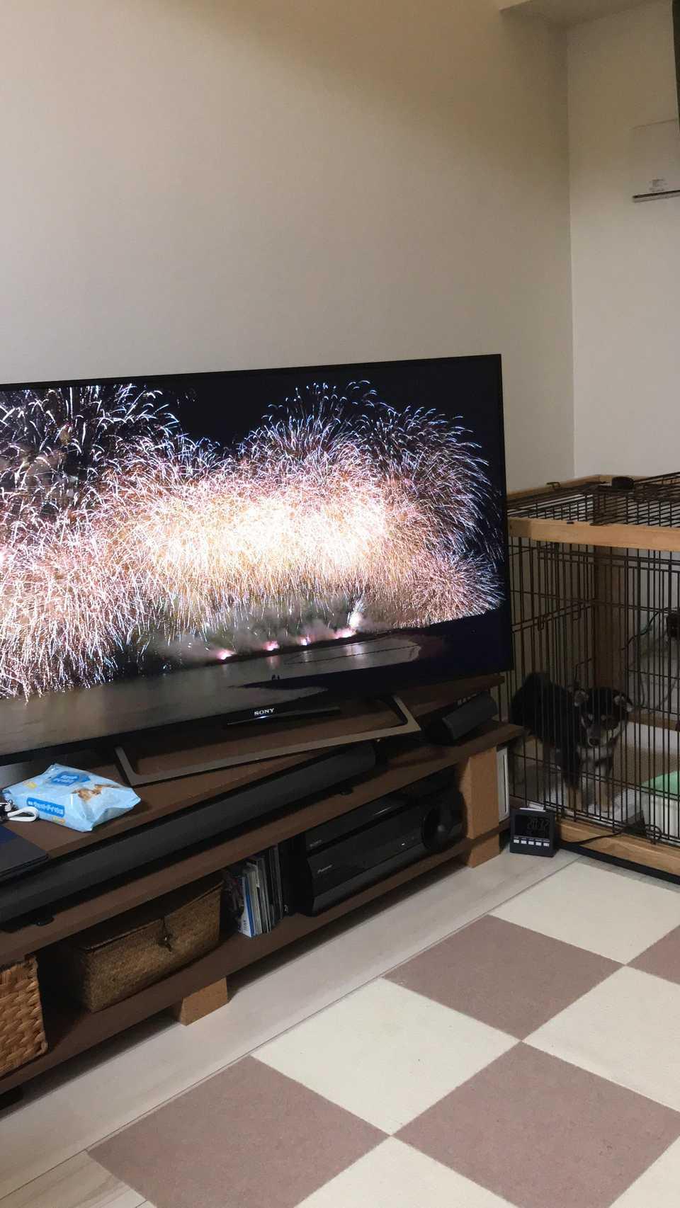 本日は安室奈美恵の引退日です(＞＜) イメージ