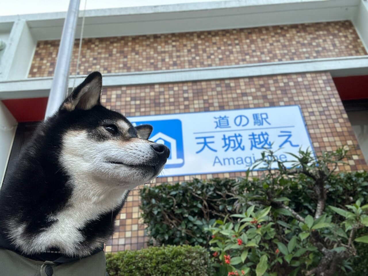 道の駅　天城越え