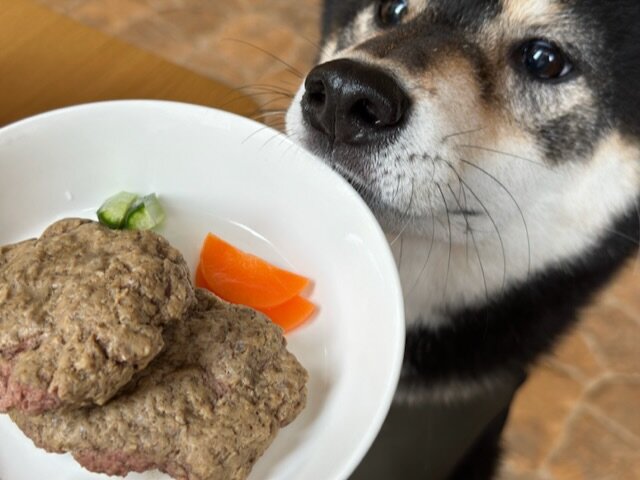 和食だワン