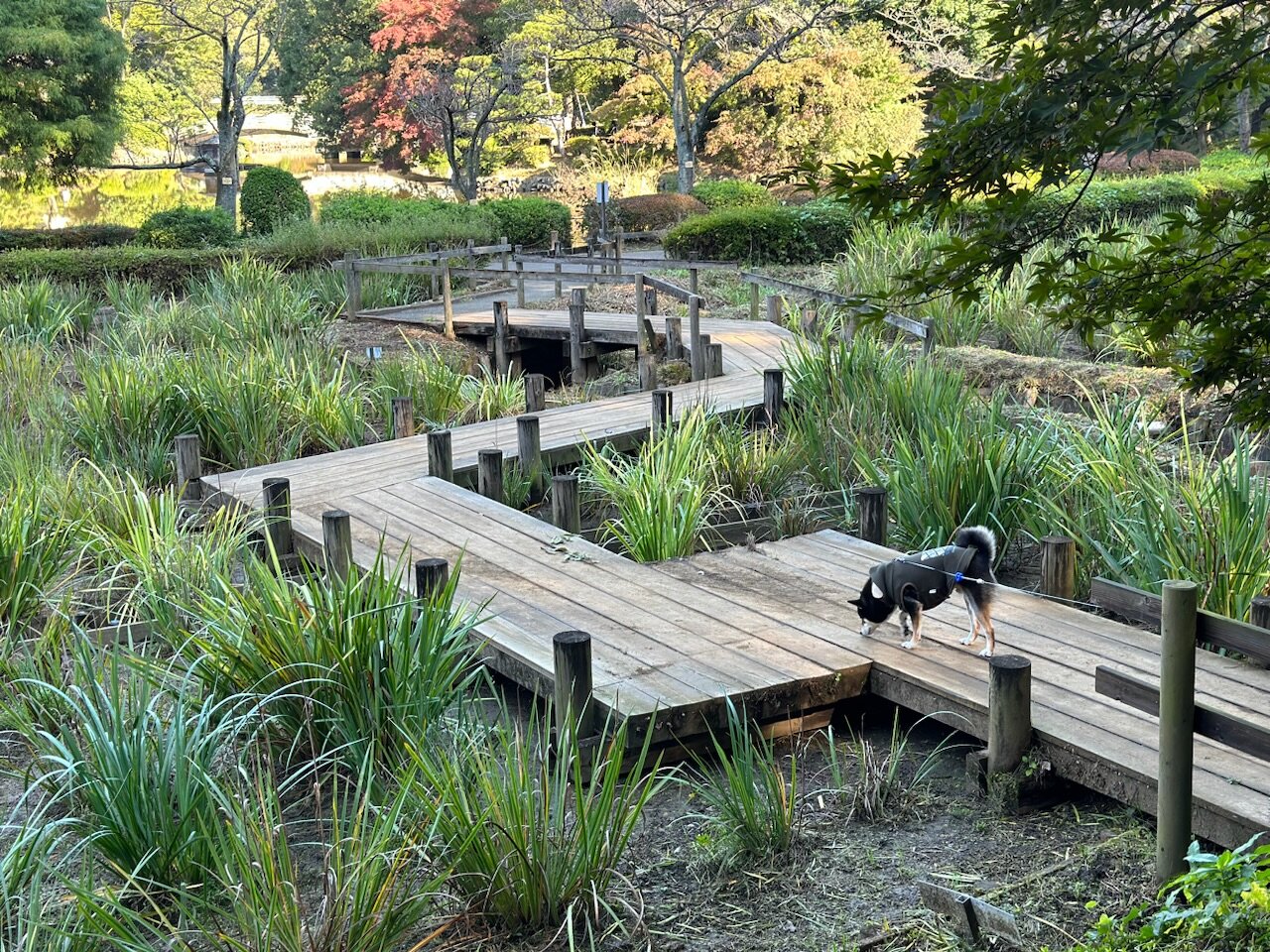 町田薬師池公園｜四季彩の杜