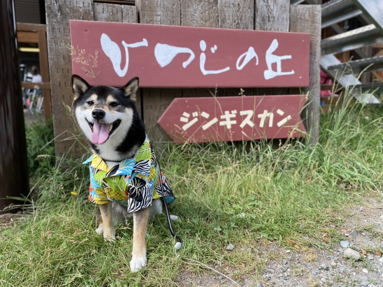 富良野ジンギスカン ひつじの丘［中富良野］