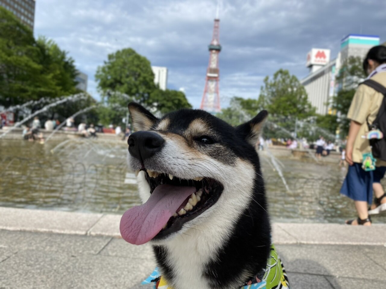 大通公園［札幌市］