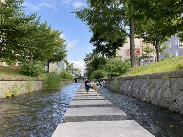 創成川公園［札幌市］