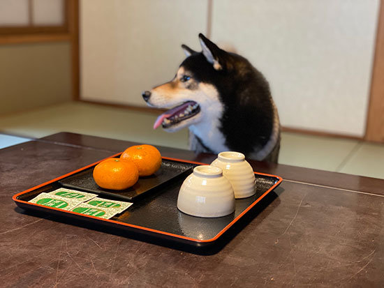 琥大朗 仙石高原大箱根一の湯