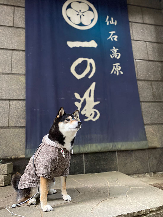 琥大朗 仙石高原大箱根一の湯