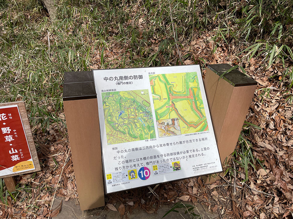 琥大朗 滝山城跡でお散歩