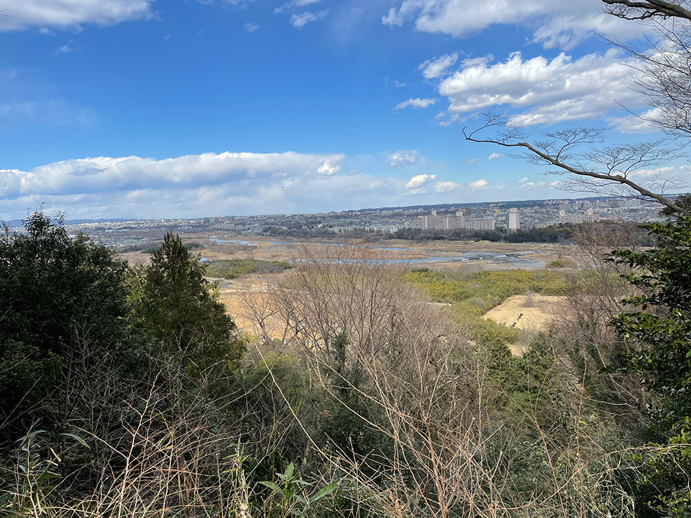 琥大朗 滝山城跡でお散歩