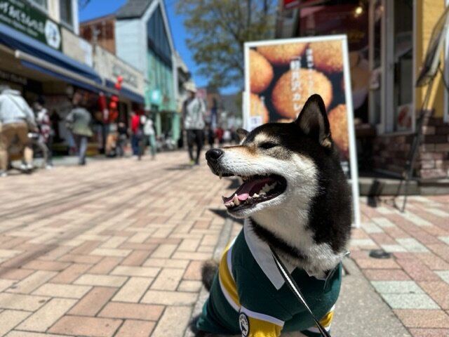 旧軽井沢銀座通り