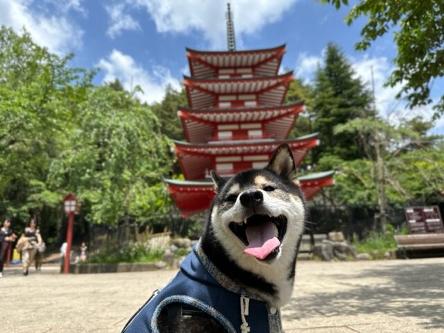 新倉山浅間公園・忠霊塔