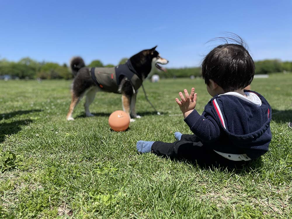 友達の子どもと昭和記念公園 イメージ