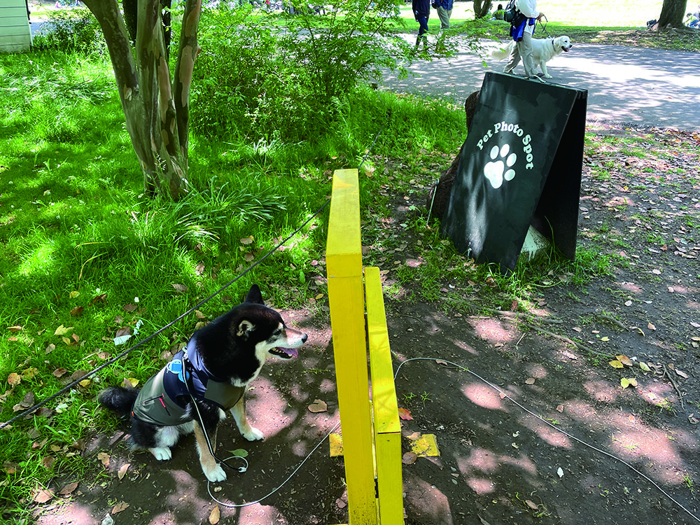 昭和記念公園 犬用どこでもドア
