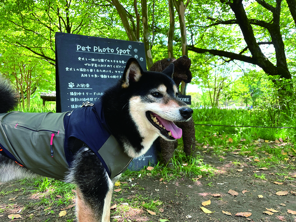 昭和記念公園 犬用どこでもドア