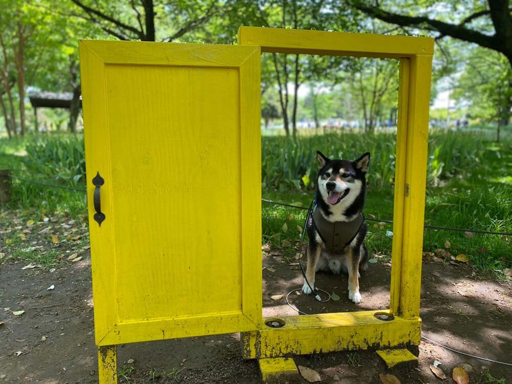 昭和記念公園 犬用どこでもドア