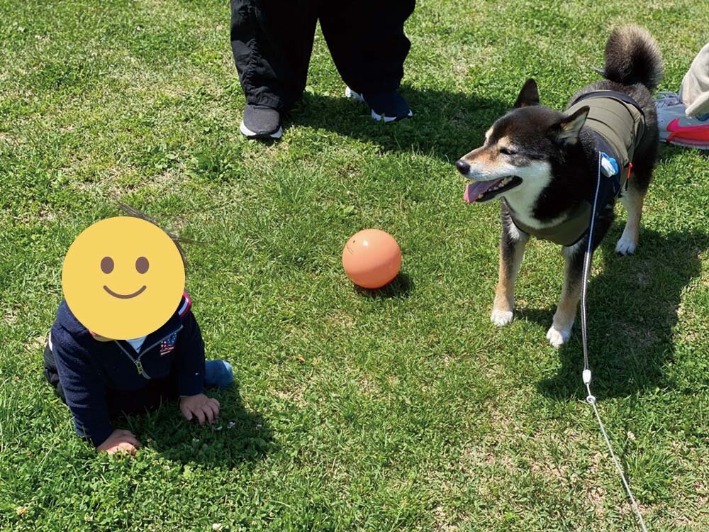 昭和記念公園 ボール遊び