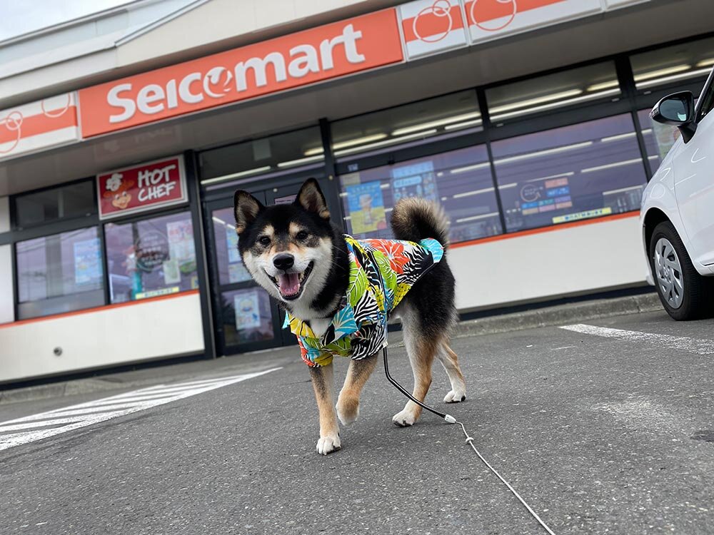 琥大朗 と北海道旅行