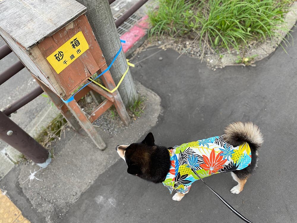 琥大朗 と北海道旅行