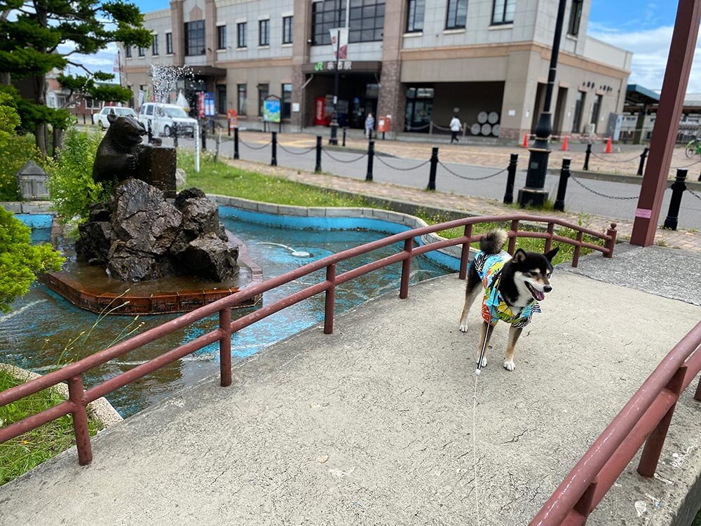 琥大朗 と北海道旅行