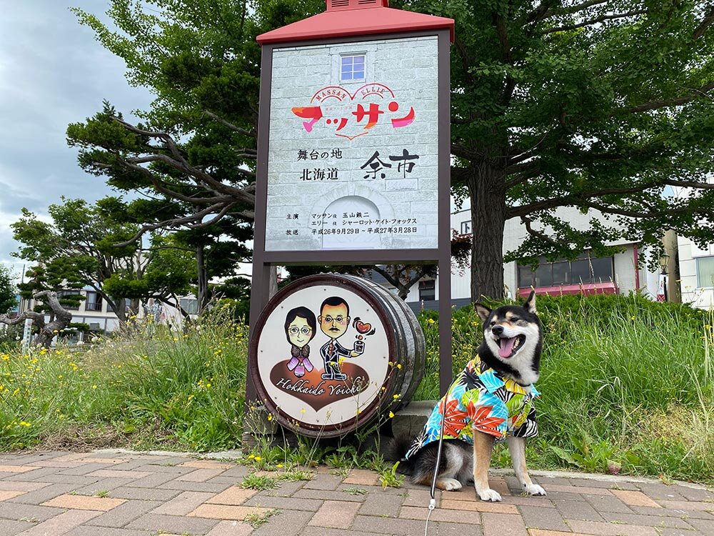 琥大朗 と北海道旅行