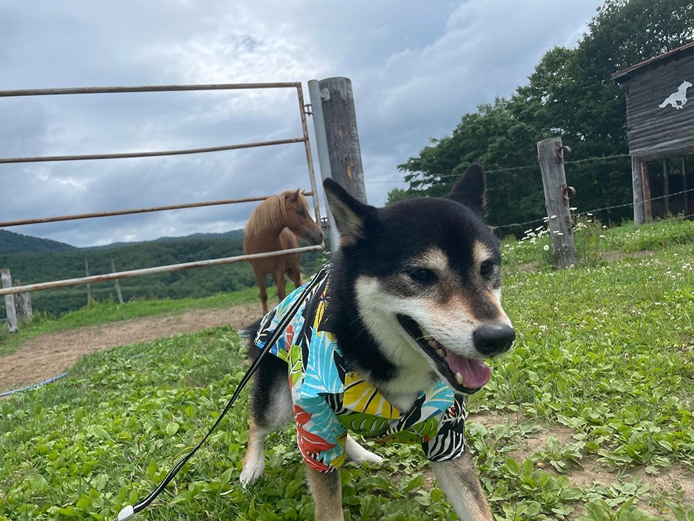 琥大朗 と北海道旅行