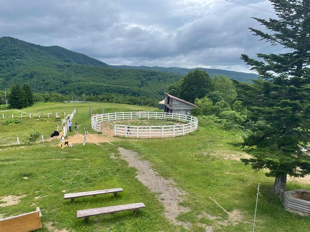 琥大朗 と北海道旅行