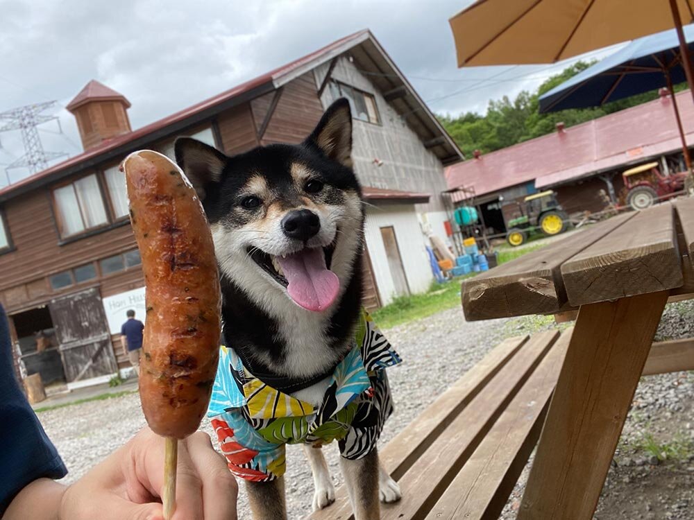 琥大朗 と北海道旅行