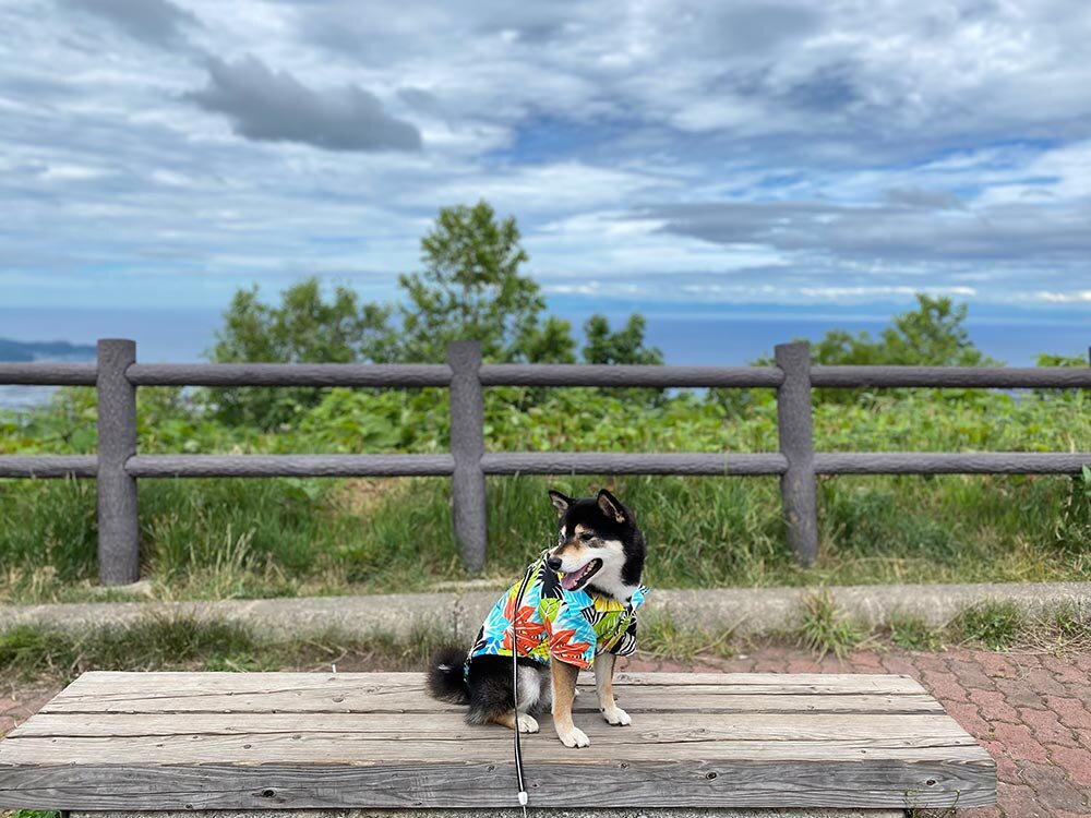 琥大朗 と北海道旅行