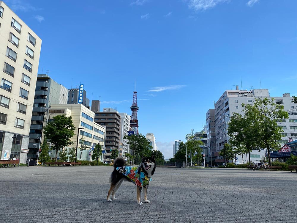 琥大朗 と北海道旅行