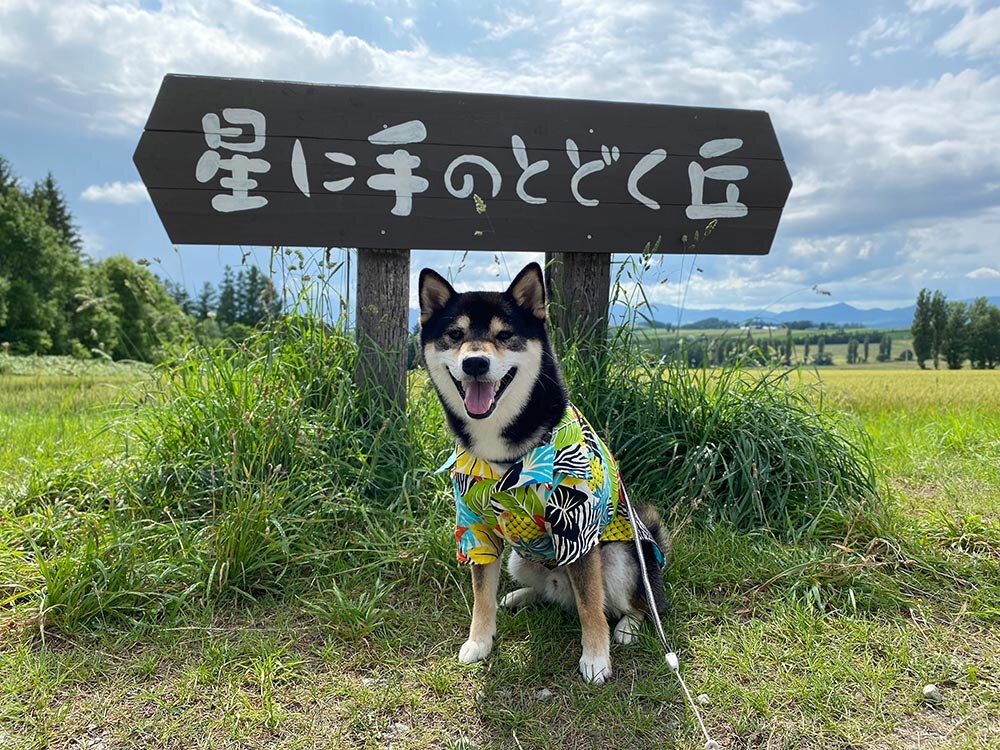 琥大朗 と北海道旅行